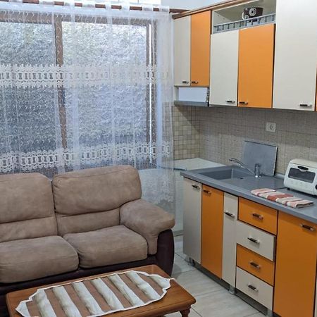 David Guesthouse Shkodër エクステリア 写真